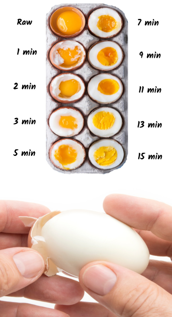 How long does an egg live