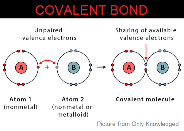 Importance of bonding