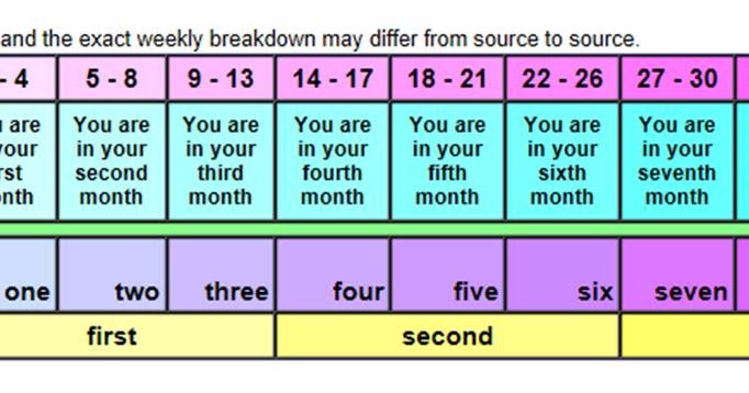 What week does 3rd trimester begin