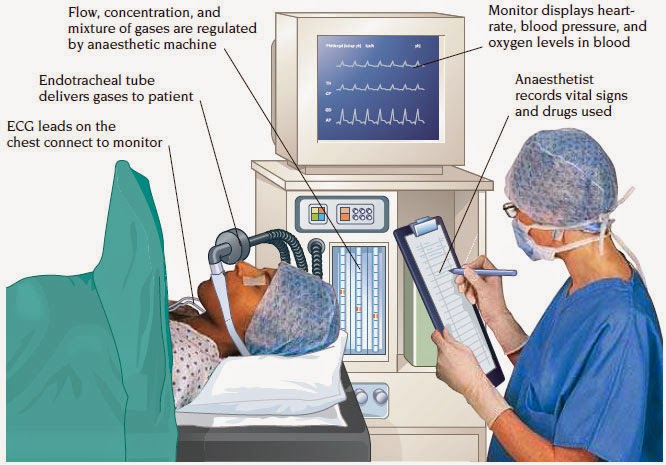 What is an ob patient