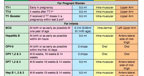 Vaccination schedule in pregnancy