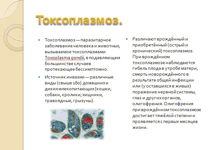 Токсоплазма положительная что это значит. Осложнения токсоплазмоза. Токсоплазмы вызывают заболевания. Врожденный токсоплазмоз. Токсоплазмоз источник инфекции.