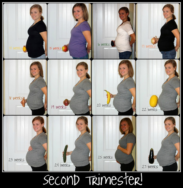 What is the 3rd trimester