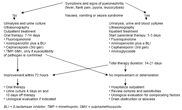 Urine infection during pregnancy causes