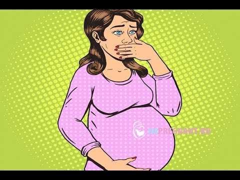 Things to know early pregnancy