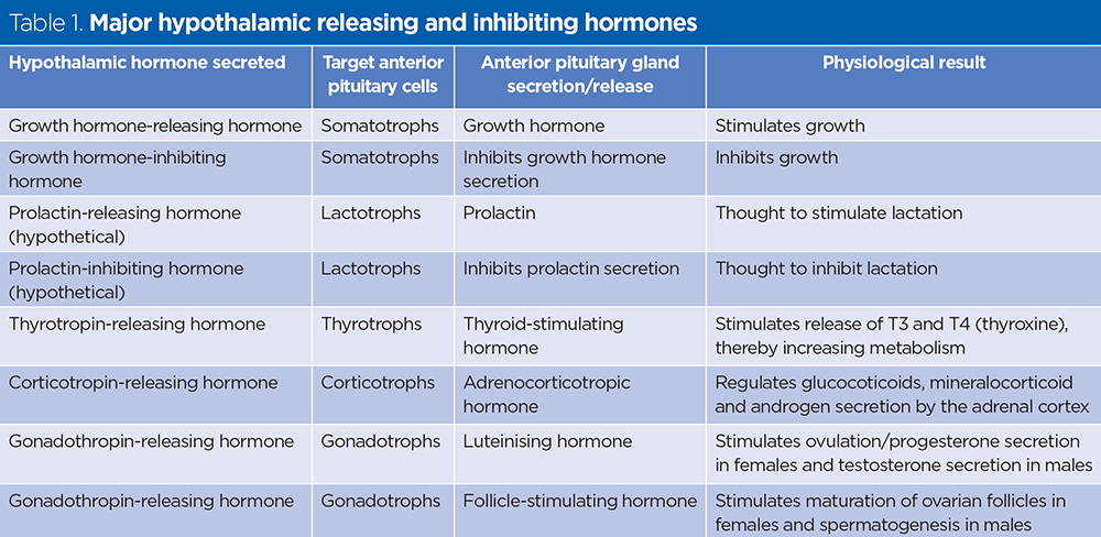 Hormone changes before labor