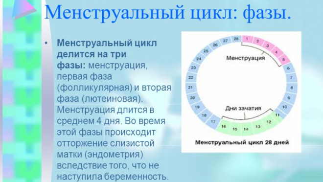 40 days menstrual cycle