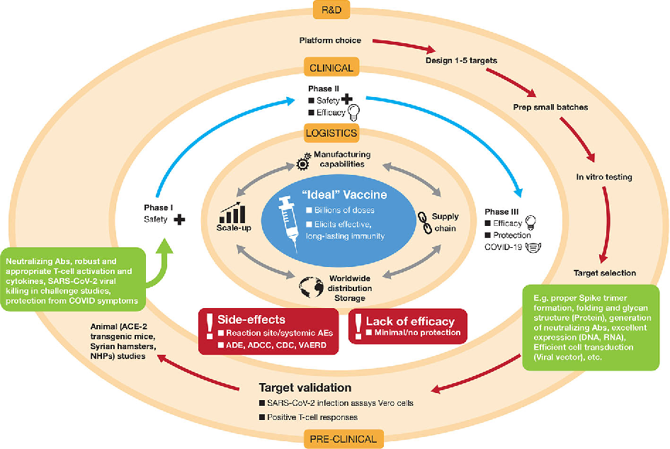 How long does it take for vaccines to be effective