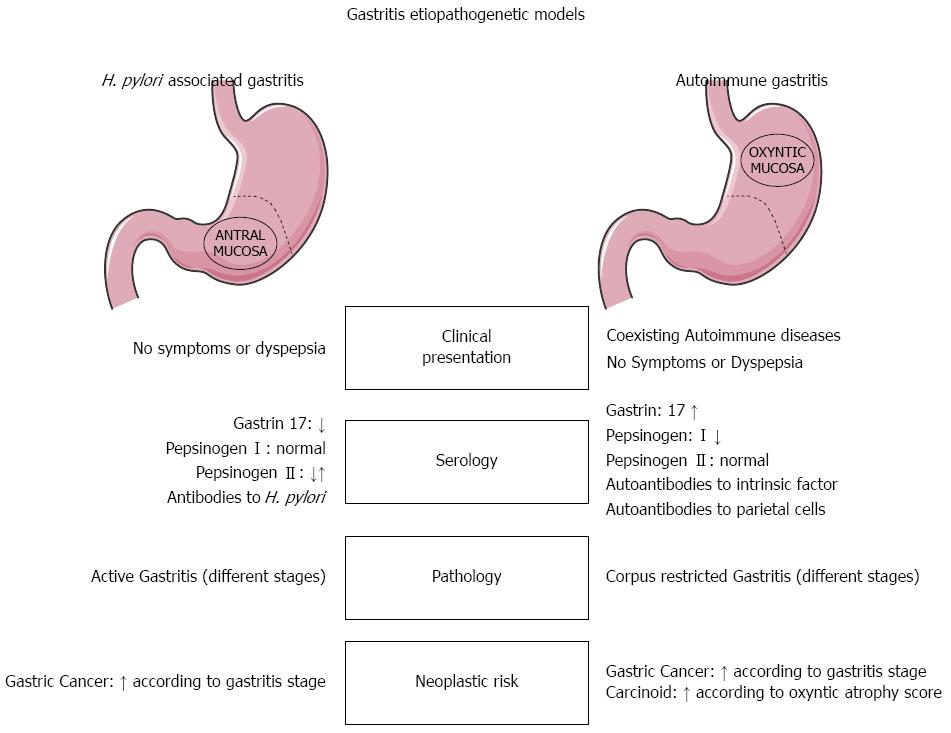 Gastritis in pregnancy treatment