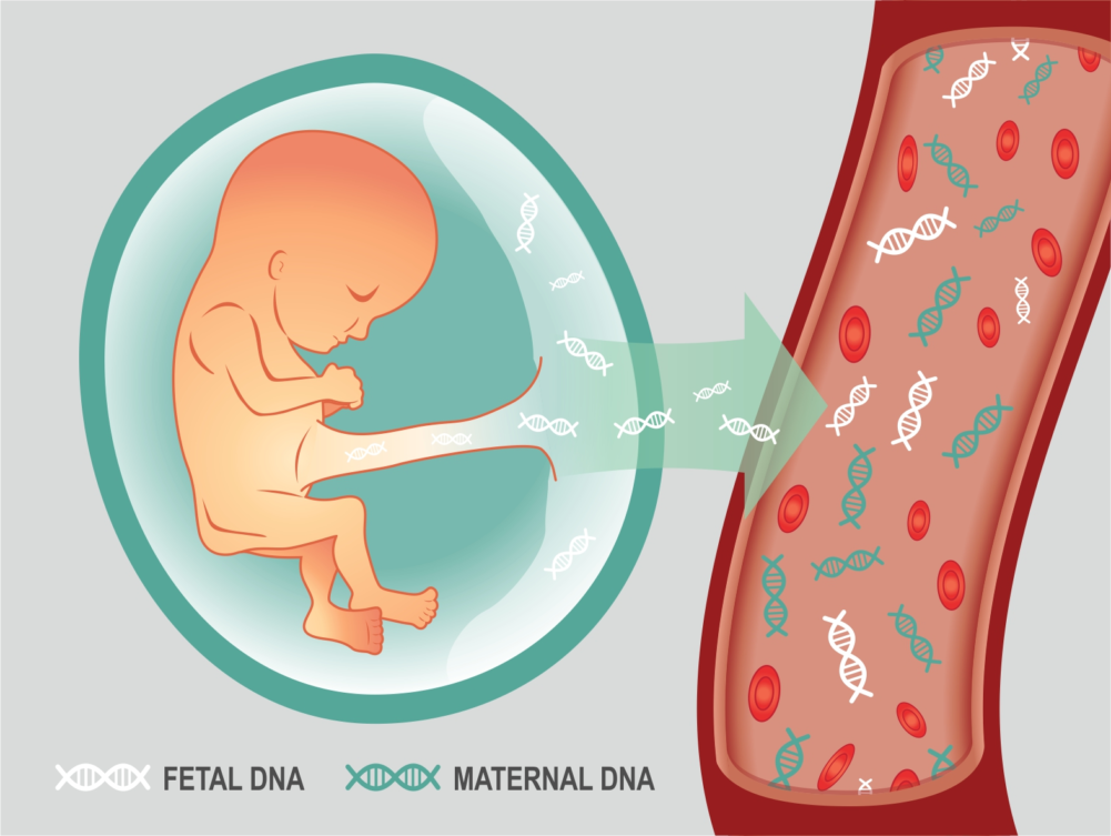 Non invasive genetic test