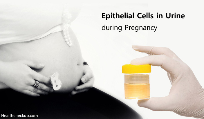 Urine infection while pregnant