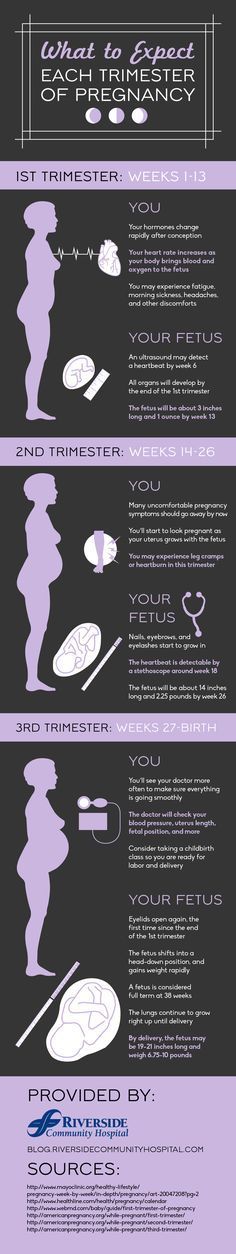 How much weight gain in each trimester