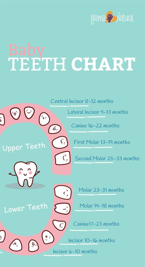 Teeth in toddlers how many