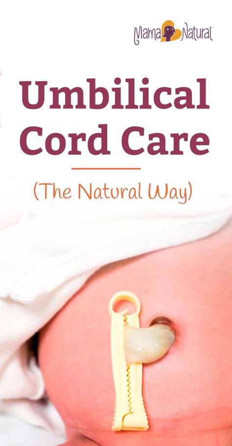 When does a newborn umbilical cord fall off