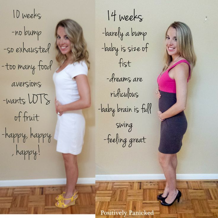 What week starts the 2nd trimester