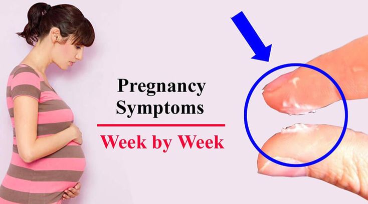 Pregnancy signs weekly