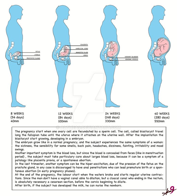 Embryo not growing