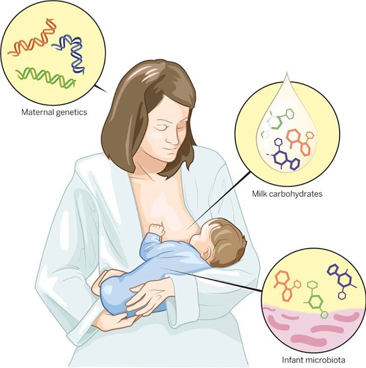 Help produce more breastmilk