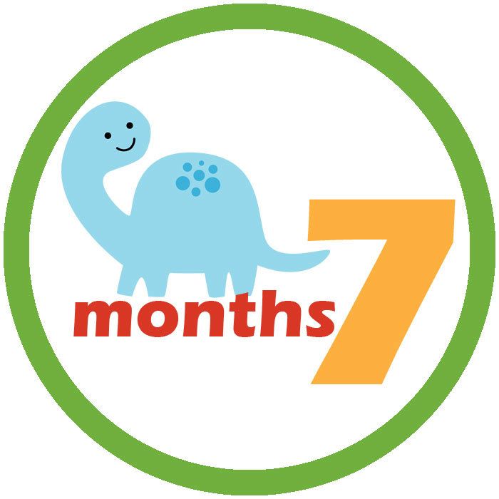 7 months milestones infant