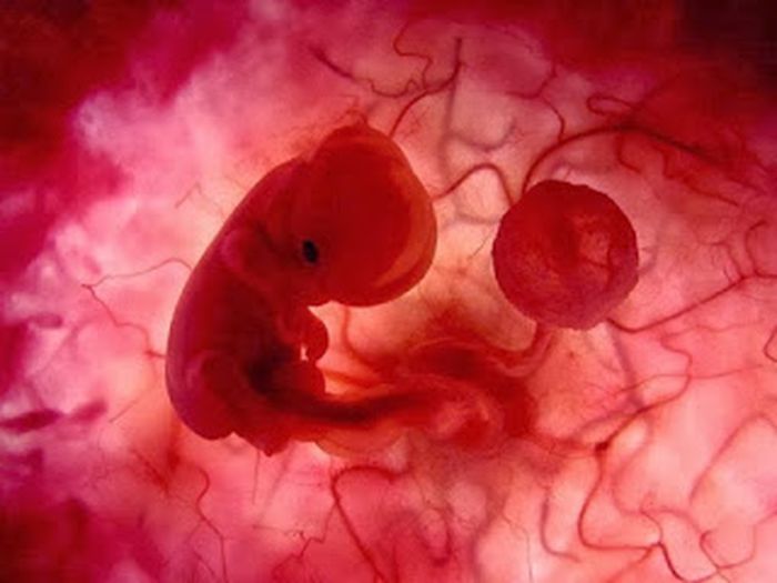 What baby does in womb