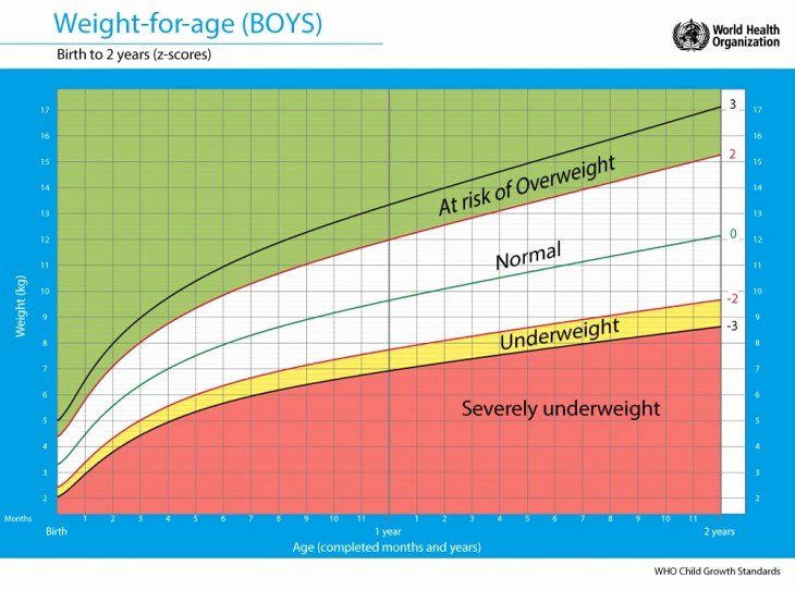 What is the average birth weight