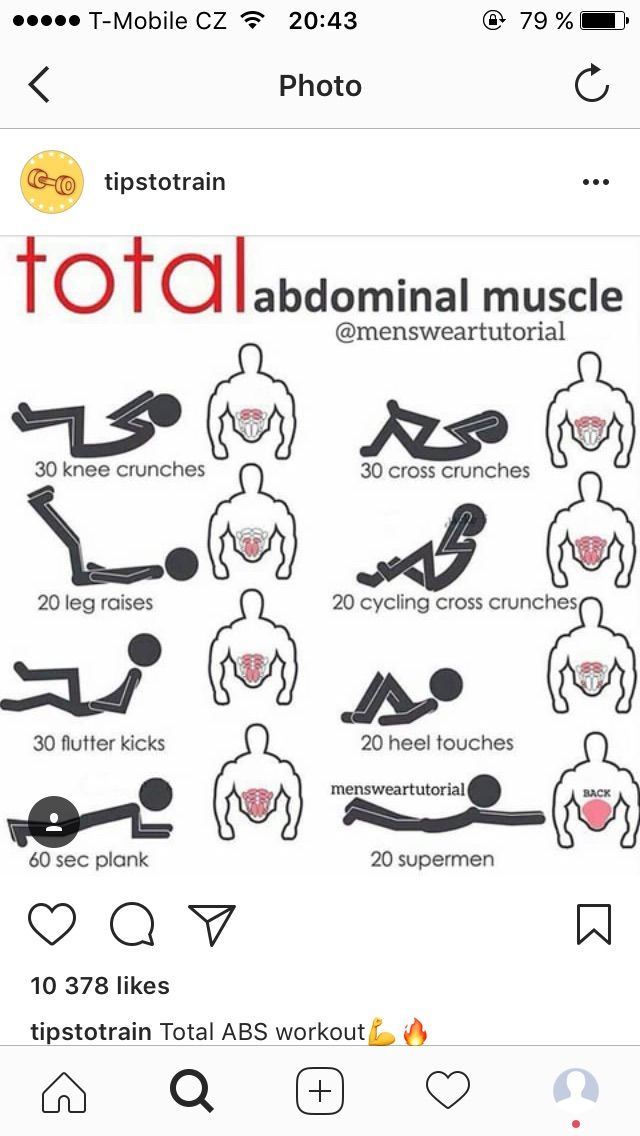 Abdominal muscles during pregnancy