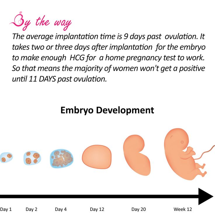 Ovulation can get pregnant