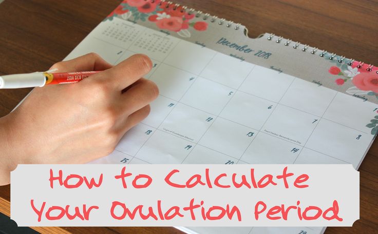 How many days do you ovulate for