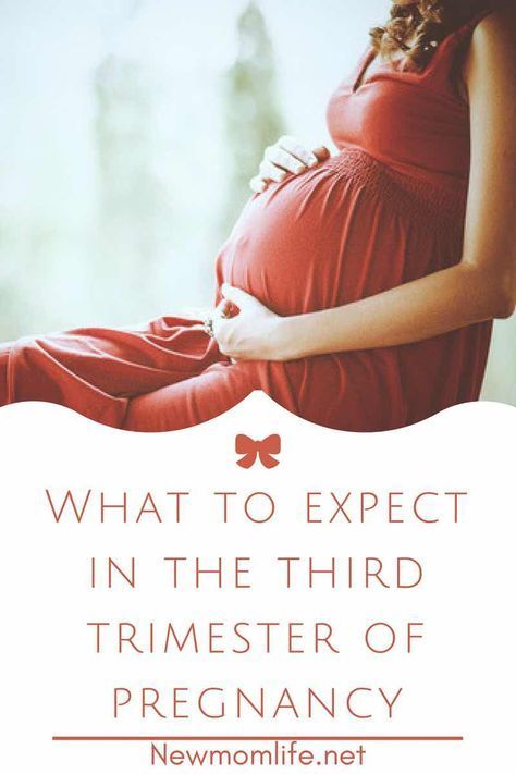 When is the last trimester of pregnancy