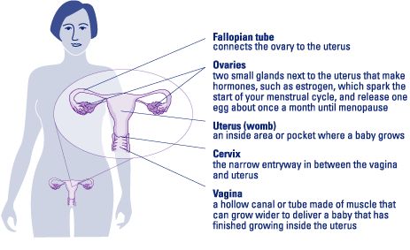 What causes a fallopian tube to rupture