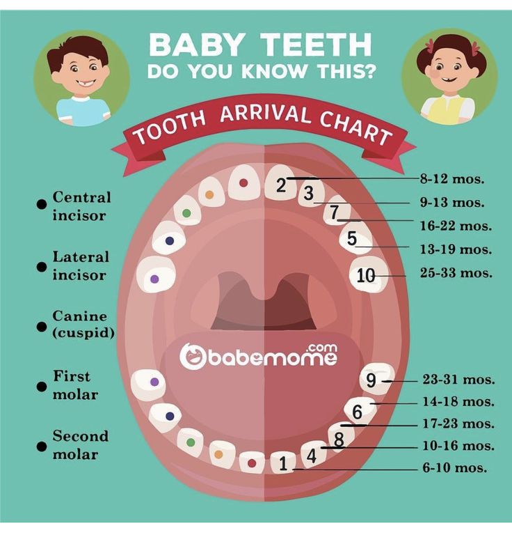 Can a baby get teeth at 4 months