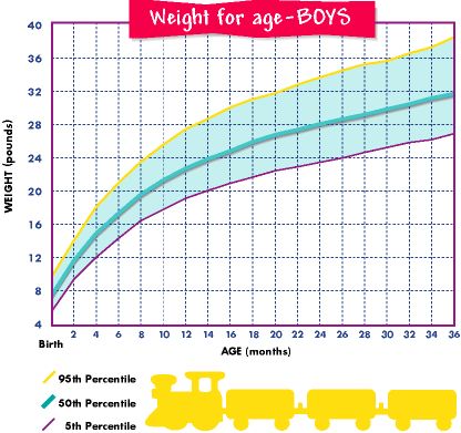 Baby weight progression chart