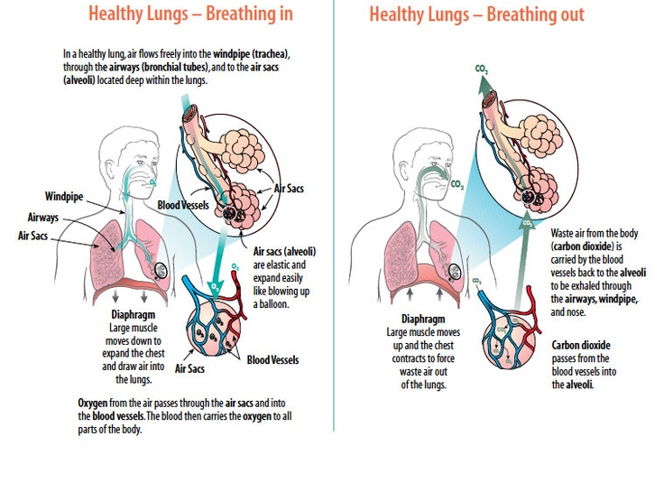 Pregnant and puking up blood