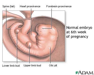 Normal baby development