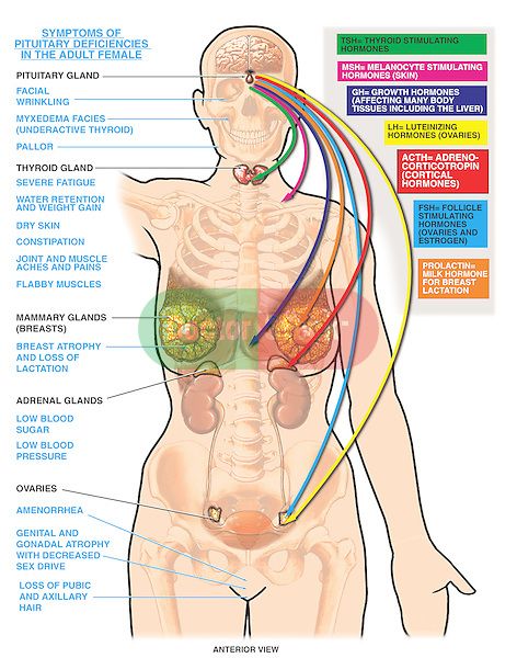 Pregnancy hormone symptoms