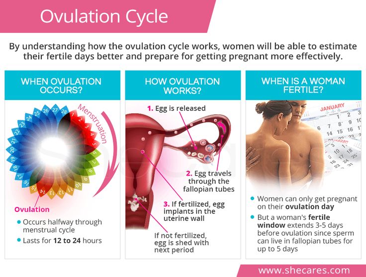 How many days after period does ovulation