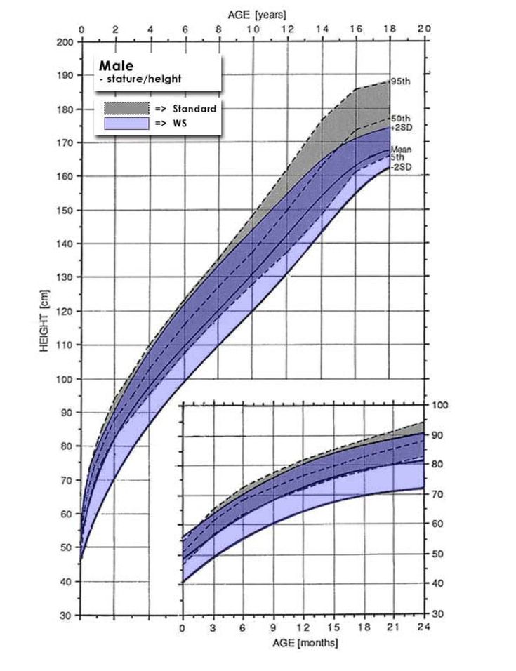 Baby head growth chart