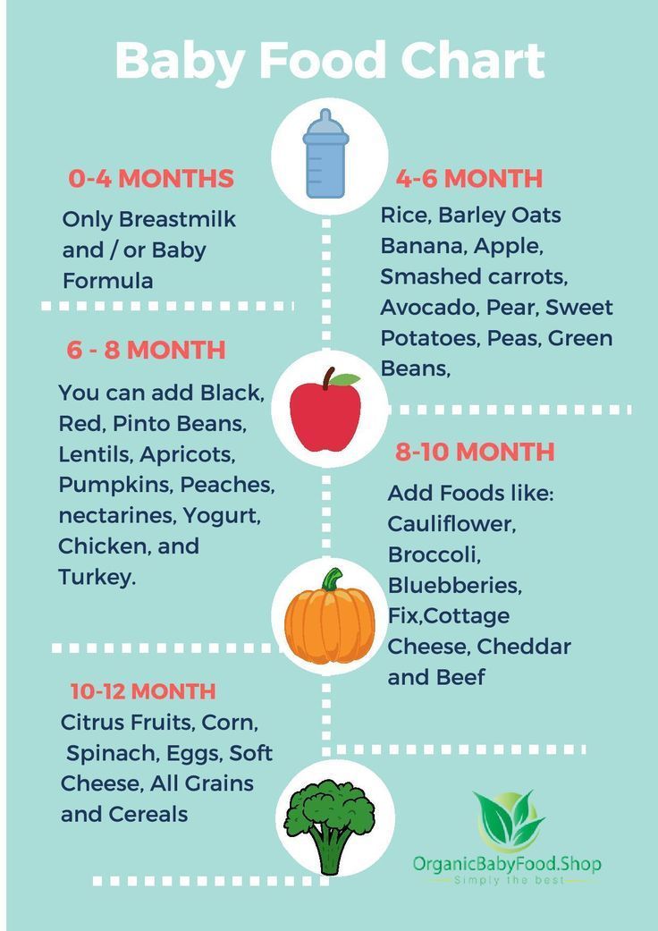 Breast milk and solid food schedule