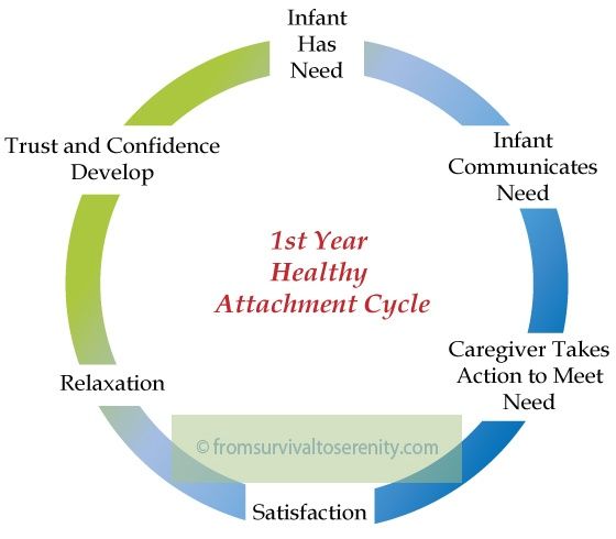 Bonding and attachment in infants