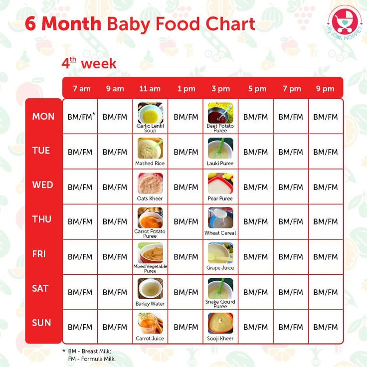 Solid food 6 month old