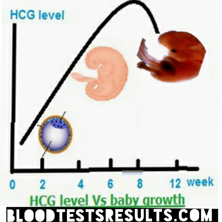 When are hcg levels the highest