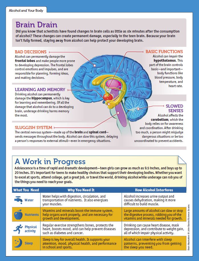 Brain development womb