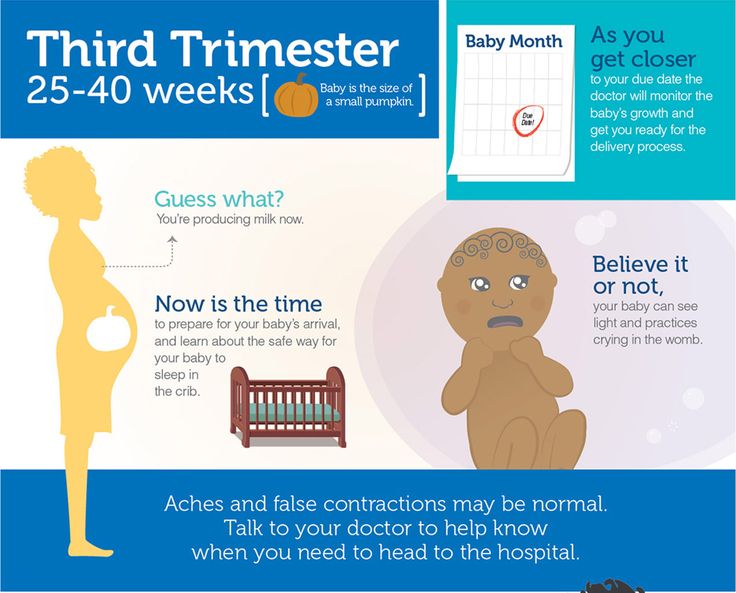 Second trimester baby size