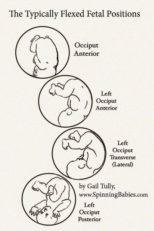 Baby position in 4th month of pregnancy