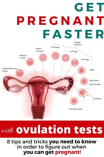 How to tell if you have ovulated