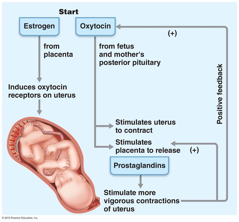 Low hormone levels during pregnancy