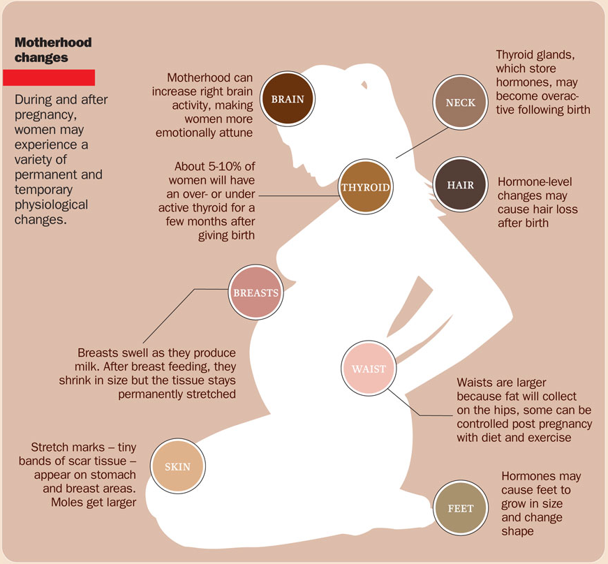 Hormone levels in pregnancy 6 weeks