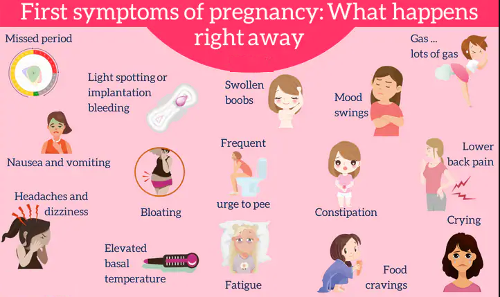 Symptoms that you are pregnant