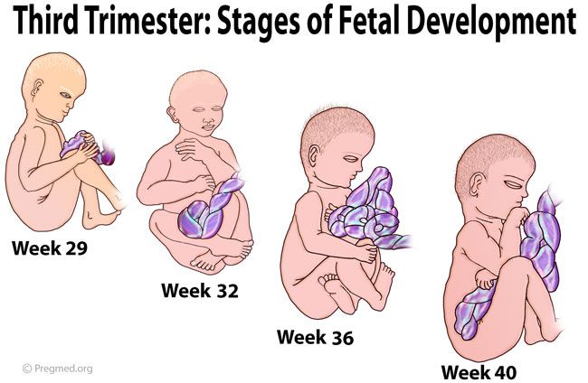 2Nd trimester discharge