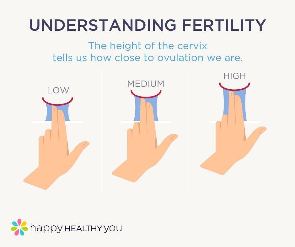 How can you tell ovulation